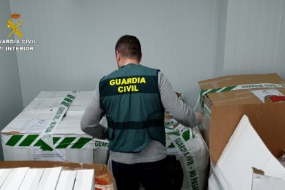 Operación llevada a cabo por la Guardia Civil.