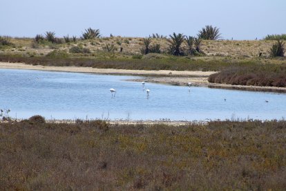La Albufera del Cabo de Gata, Geoparque Mundial de la Unesco.