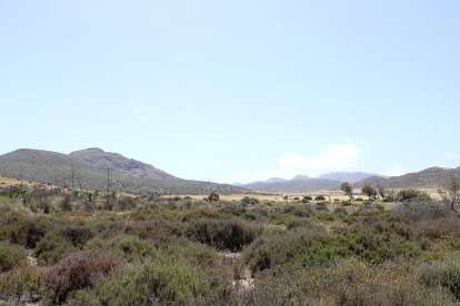 Los Genoveses, Parque Natural Cabo de Gata-Níjar.