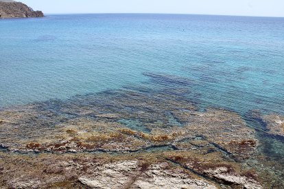 Fondo marino de los Escullos.