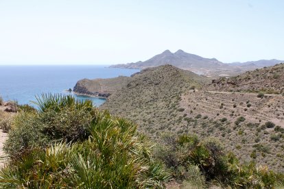 Paisaje de la Amatista.