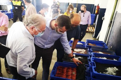 Ramón Fernández-Pacheco comprueba la buena calidad del pescado.