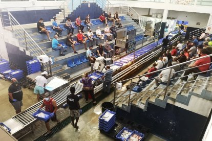 Visita general de la lonja de Almería.