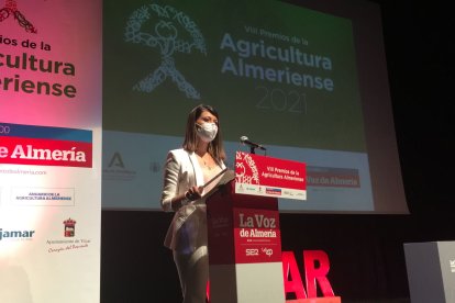 Ángeles Martínez, vicepresidenta segunda de la Diputación Provincial de Almería.