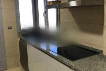 Ana Soria y Enrique Ponce ya tienen nuevo hogar.