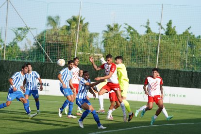 Un buen partido.