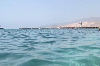 La medusa, en el mar.