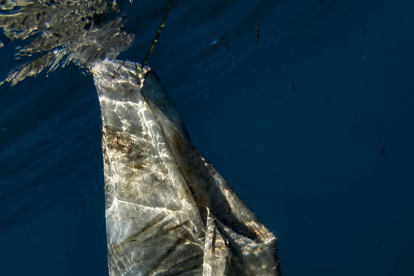 Bolsa de plástico afea los fondos marinos