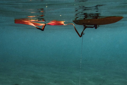 Red en la que el fotógrafo va depositando la basura que recoge.