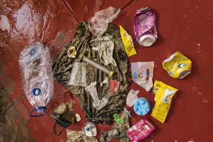 Bodegón con toda clase de desechos recogidos por Carlos mientras nada y fotografía los fondos.