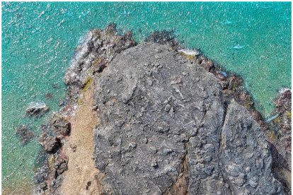 Su producto estrella es la resina.