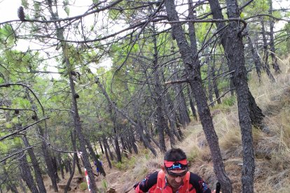 Siempre se suele distancias de sus persegudiores.