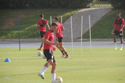 Carriço.