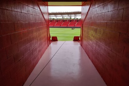 Pasen y vean: parece otro Estadio.