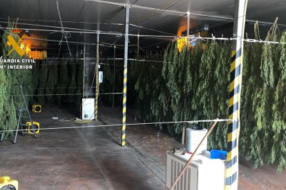 Imagen facilitada de la operación.