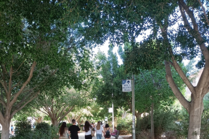 Existe el sentir general de que se temen más las restricciones que al propio virus.