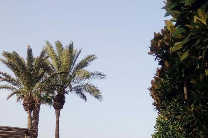 Paseo Marítimo de Carboneras. /Foto: Fina Rueda