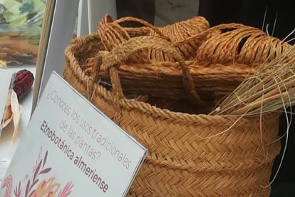 Uno de los artículos expuestos.