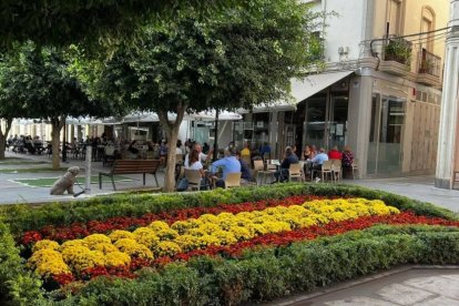 Jardineras con la bandera de España.