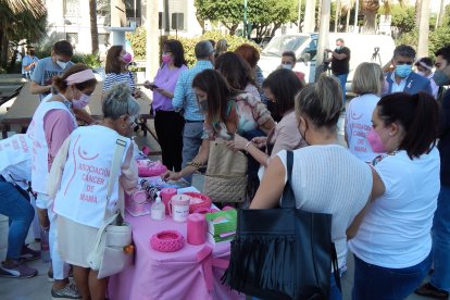 Mercadillo de la Asociación de Mujeres Mastectomizadas de Almería (AMAMA)