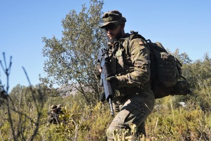 Búsqueda de puestos camuflados de tiradores en zonas boscosas