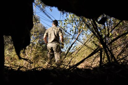 Vista desde el interior de un puesto camuflado