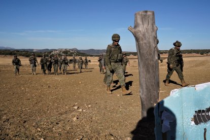 Análisis de los impactos en distintos objetivos que reproducen árboles en zonas de bosque
