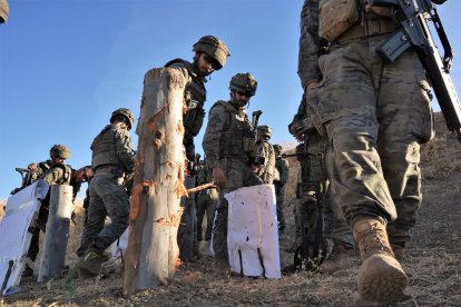 Impactos en un tronco