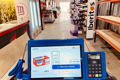 La pantalla que se instala en el carrito.