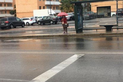 Protegida de la lluvia junto a una parada de bus urbano.