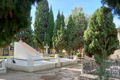 Un gato recorre uno de lo panteones