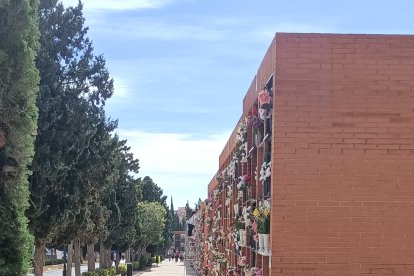 Vista general de uno de los pasillos del camposanto