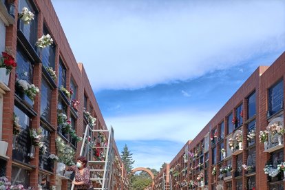 Escaleras para llegar a lo más alto de los nichos