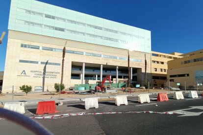 Obras para la creación de espacios verdes en la entrada