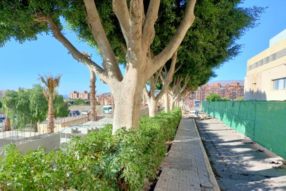 Trabajos en la franja sur para generar un bulevar