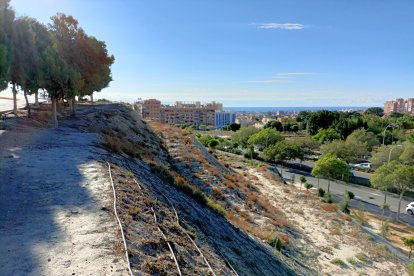Franja en la que se va a actuar próximamente para asegurar los taludes