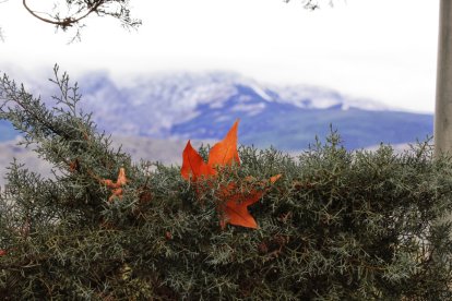 Otoño, cuarto premio para Jesús García.