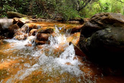 Agua agria y Castañar de Paterna del Río.