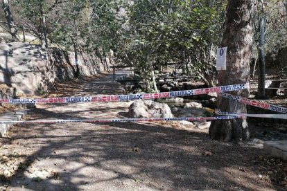El área recreativa Arroyo de Celín, en Dalías, tuvo que ser cerrada cautelarmente el domingo por la caída de ramas partidas por el fuerte viento. (Foto: Policía Local de Dalías).