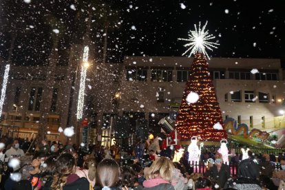 Decoración en El Ejido (Foto: Ayuntamiento de El Ejido).
