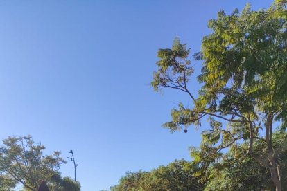 El obispo de la Diócesis, Antonio Gómez Cantero, toma la palabra.