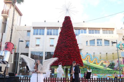 Decoración en El Ejido (Foto: Ayuntamiento de El Ejido)