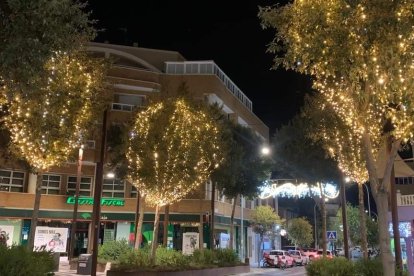 Decoración en El Ejido (Foto: Ayuntamiento de El Ejido)
