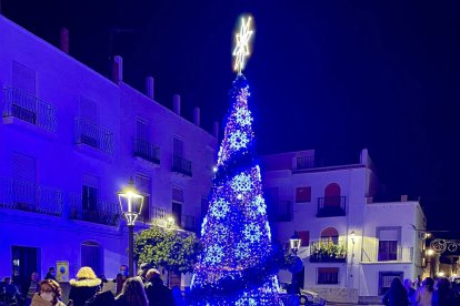El gigante árbol instalado se encuentra en la Plaza Mayor de Abla.