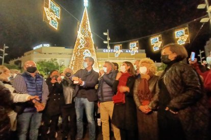 El alcalde de Almería, Ramón Fernández-Pacheco, acompañado por el concejal de Cultura, Diego Cruz, y varios miembros del Equipo de Gobierno, pulsando el botón del encendido navideño.