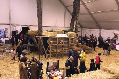 Los pulpileños y pulpileñas disfrutan de las actividades navideñas