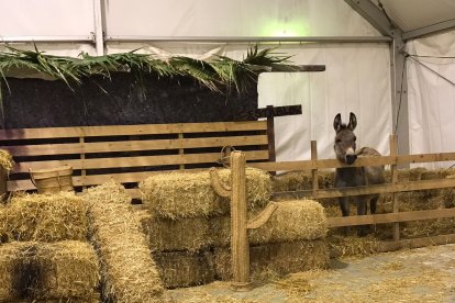 Figuras de esparto tradicionales de Almería se mezclan con el paisaje belenístico