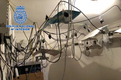 Instalación desmontada en una plantación.