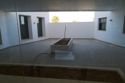 Zona de huerto en la azotea del edificio