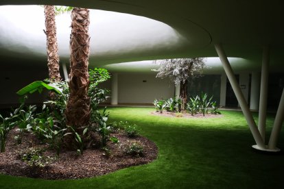 El jardín de las instalaciones visto desde el sótano del recinto